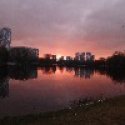 Полина Минк