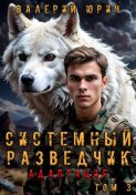 Системный разведчик. Адаптация. Том 3