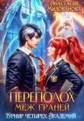 Переполох меж Граней. Турнир четырёх Академий