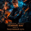 Тёмный маг. Книга 11. Запутанный путь