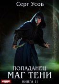 Попаданец. Маг Тени. Книга 11