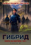 Гибрид. Книга 15. Охота на мастера. Том 2