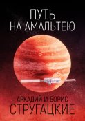 Путь на Амальтею