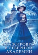 Стажировка в Северной Академии. Часть 1