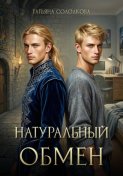 Натуральный обмен