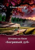 Шторм на базе "Багряный дуб"