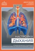 Настройка дыхания. Упражнения для восстановления нервной системы и активации блуждающего нерва