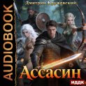 Ассасин. Книга 1