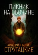 Пикник на обочине