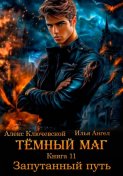 Тёмный  маг. Книга 11. Запутанный путь
