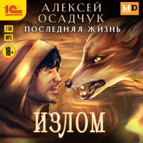 Обложка книги „Излом“