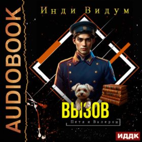 Обложка книги „Петя и Валерон. Книга 8. Вызов“