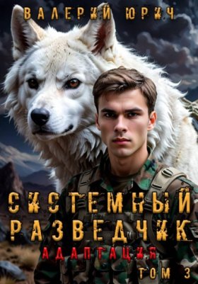 Обложка книги „Системный разведчик. Адаптация. Том 3“
