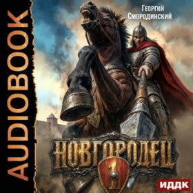 Обложка книги „Новгородец. Книга 1“