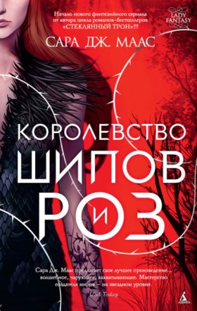 Обложка книги „Королевство шипов и роз“