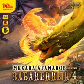 Обложка книги „Забаненный-4“