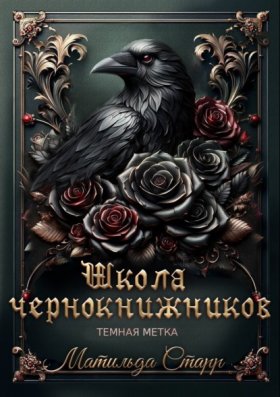 Обложка книги „Школа чернокнижников. Тёмная метка“