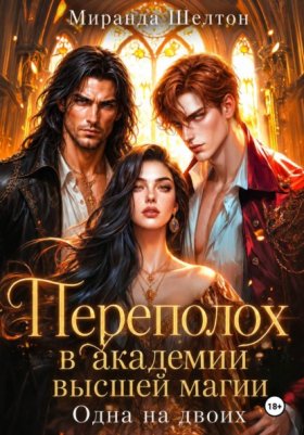 Обложка книги „Переполох в академии высшей магии. Одна на двоих“