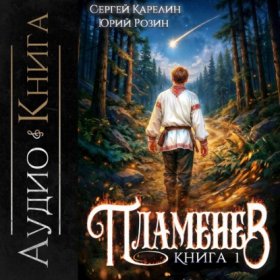 Обложка книги „Пламенев. Книга I“