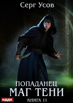 Обложка книги „Попаданец. Маг Тени. Книга 11“