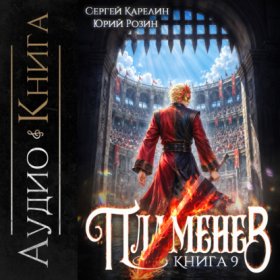Обложка книги „Пламенев. Книга IX“