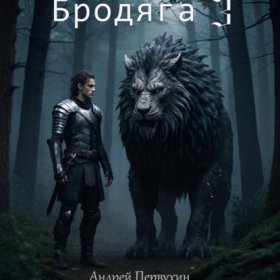 Обложка книги „Бродяга 3“