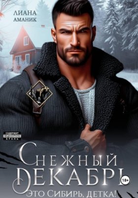Обложка книги „Снежный Декабрь“