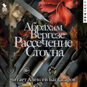 Обложка книги „Рассечение Стоуна“