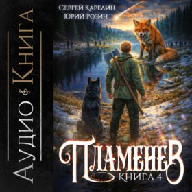Обложка книги „Пламенев. Книга IV“