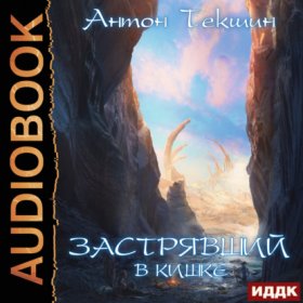 Обложка книги „Застрявший. Книга 3. Застрявший в Кишке“