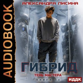 Обложка книги „Гибрид. Книга 13. Тень мастера“