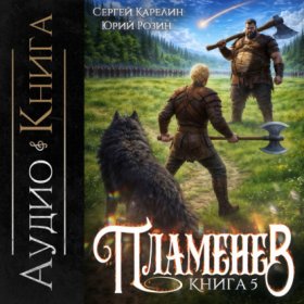 Обложка книги „Пламенев. Книга V“