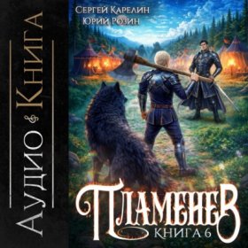 Обложка книги „Пламенев. Книга VI“