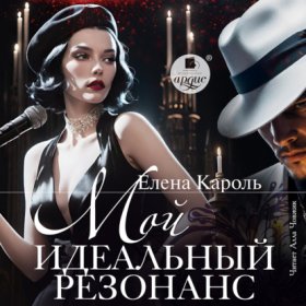 Обложка книги „Мой идеальный резонанс“