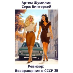 Обложка книги „Ревизор: возвращение в СССР 30“