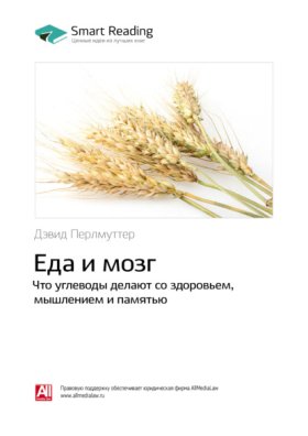 Все о мозге: выйти за границы возможностей