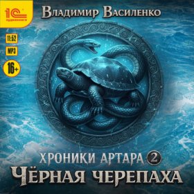 Обложка книги „Черная черепаха“