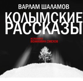 Обложка книги „Колымские рассказы“