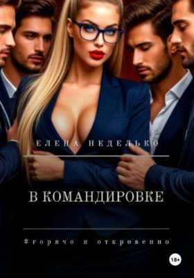 Обложка книги „В командировке“