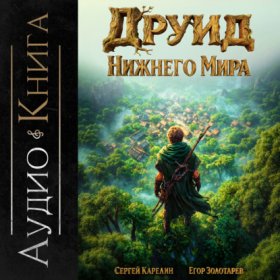 Обложка книги „Друид Нижнего мира“