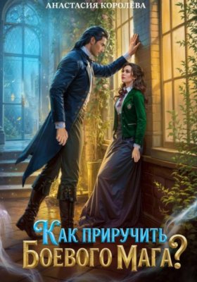 Обложка книги „Как приручить боевого мага?“