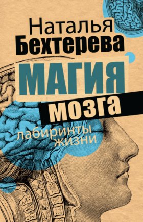 Загадки мозга