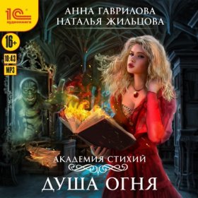 Обложка книги „Академия Стихий. Душа Огня“