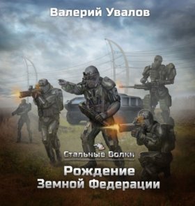 Обложка книги „Стальные Волки. Рождение Земной Федерации“