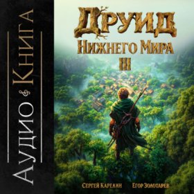 Обложка книги „Друид Нижнего мира. Том 3“