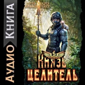Обложка книги „Князь Целитель 5“