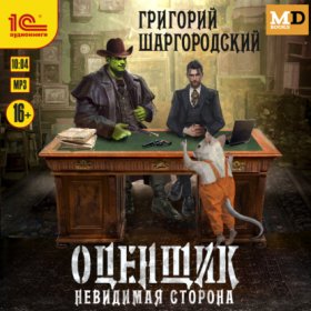 Обложка книги „Оценщик. Невидимая сторона“