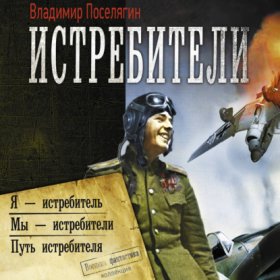 Обложка книги „Истребители: Я – истребитель. Мы – истребители. Путь истребителя“
