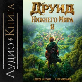 Обложка книги „Друид Нижнего мира. Том 2“
