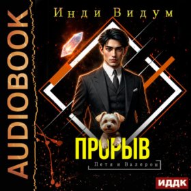 Обложка книги „Петя и Валерон. Книга 9. Прорыв“